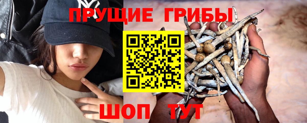 Псилоцибиновые грибы мухоморы Саров